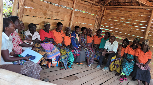 village saving and loans